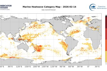 categ_global_GLO12V4_SST_0m_FCST_2026-02-14