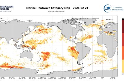 categ_global_GLO12V4_SST_0m_FCST_2026-02-21