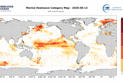 categ_global_GLO12V4_SST_0m_FCST_2026-06-13