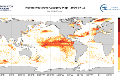 categ_global_GLO12V4_SST_0m_FCST_2026-07-11