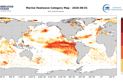 categ_global_GLO12V4_SST_0m_FCST_2026-08-01