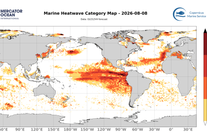 categ_global_GLO12V4_SST_0m_FCST_2026-08-08