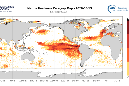 categ_global_GLO12V4_SST_0m_FCST_2026-08-15