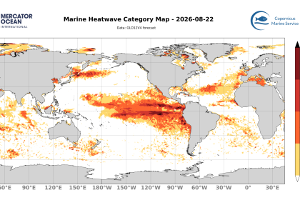 categ_global_GLO12V4_SST_0m_FCST_2026-08-22
