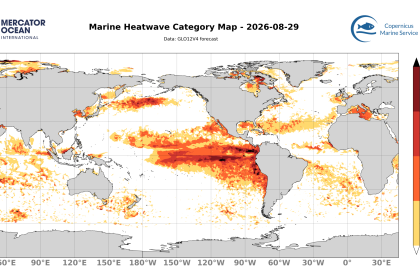 categ_global_GLO12V4_SST_0m_FCST_2026-08-29