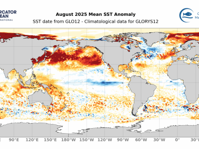 Anomalies de température de surface Août 2025