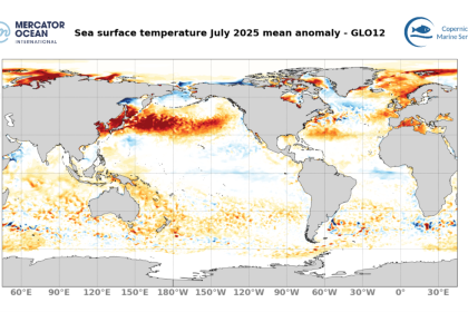 July 2025 Sea Surface temperature anomalies