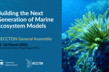 neccton-20-20landscape